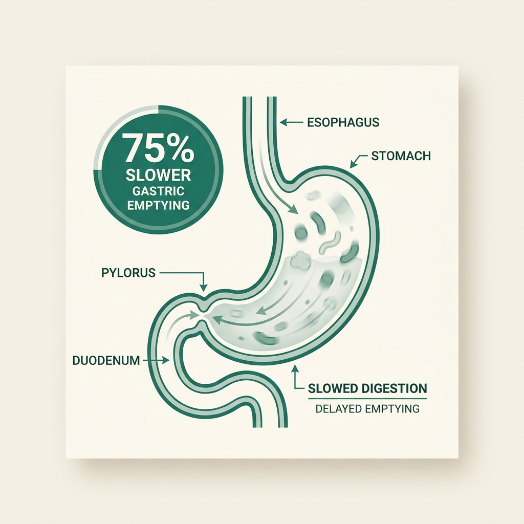 GLP-1 slowed gastric emptying mechanism diagram